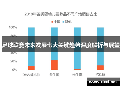 足球联赛未来发展七大关键趋势深度解析与展望