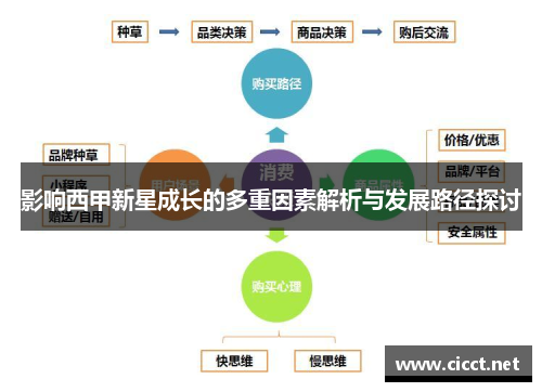 影响西甲新星成长的多重因素解析与发展路径探讨